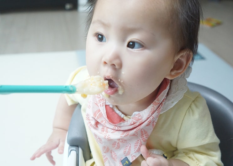  후기 이유식 영양 잡힌 식단으로 건강하고 맛있게 먹이자