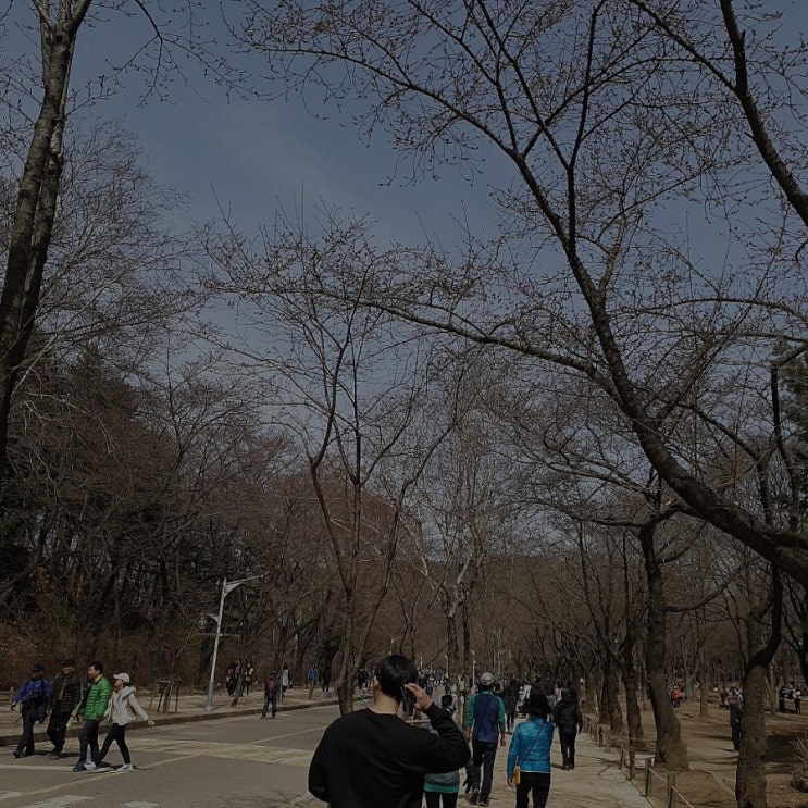  57. (2019. 4. 7. ~4. 14. -휴학생의 신나서 먹는 일상)