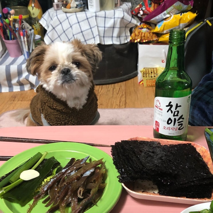  [2019.02.05-24] dailylook /  데일리룩 / 브이로그 / 이케아탐방 / 일산 이자카야 / 와인한잔 / 탕후루 / 더페이머스버거 / 레드락 /이케아탐방 / 이케아