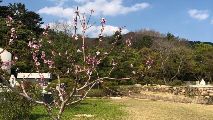  [경상북도 경주 여행] 1일차 일성콘도보문점, 황리단길 밥집 시즈닝(seasoning), 카페 아르떼(ARTE)