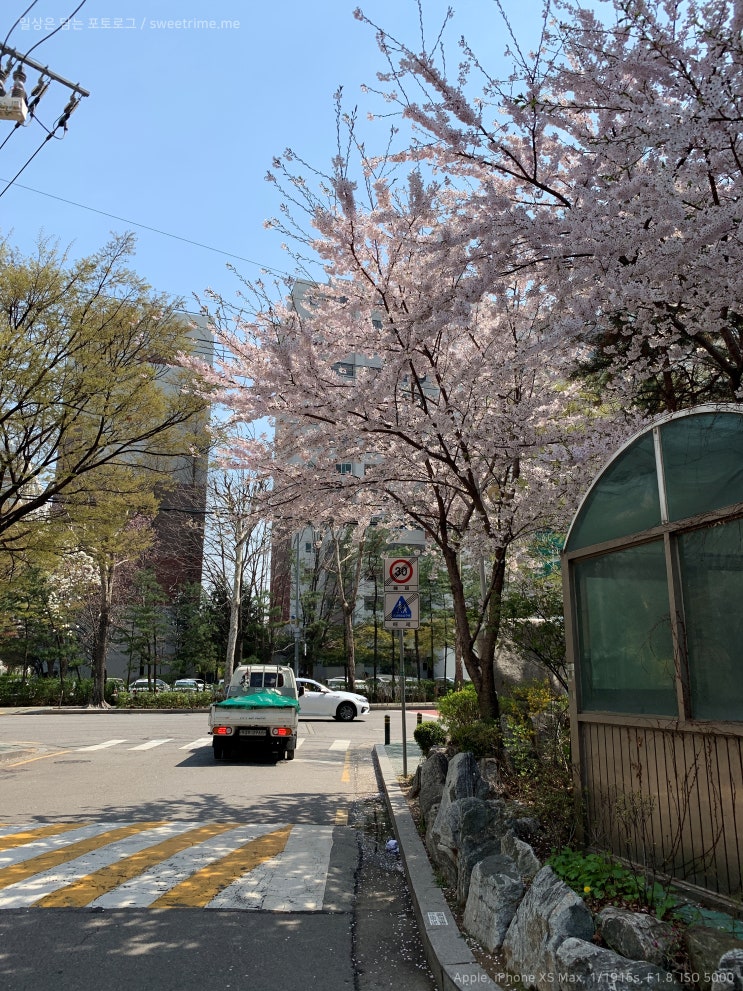  190411 목 일상