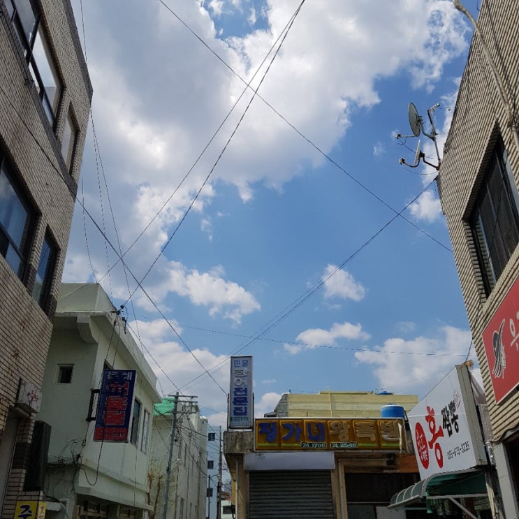  2019.04.08-04.14