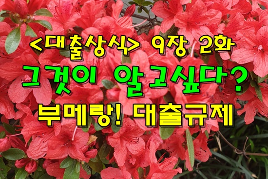  <대출상식> 9장 2화 그것이 알고싶다! 부메랑 같은 대출규제!