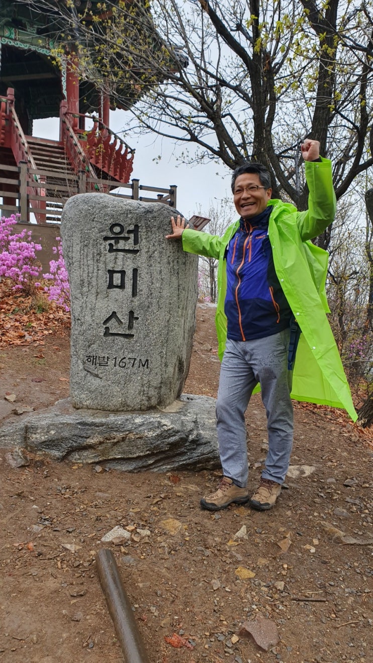  부천 원미산  진달래와 인천 SK석유화학 벚꽃축제