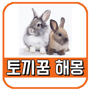 토끼꿈 해몽 - 하얀토끼꿈 풀이 총정리
