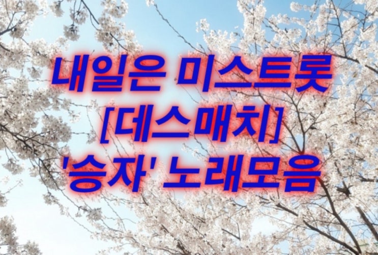  미스트롯 승자 노래모음