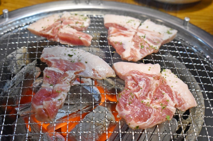  한돈특수부위 수원 북문 맛집에서 맛보다! (feat. 꼬들살 오돌갈비 쫀득살)
