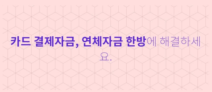  카드연체대납은 론캐쉬에서