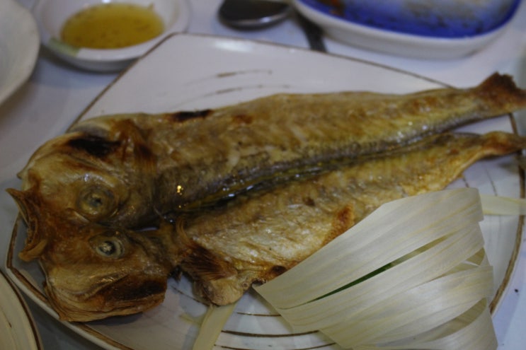  제주도청 근처 삼치집에서 자연을 만끽했어요!
