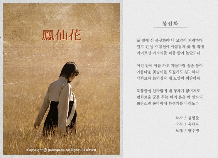  봉선화 / 양수경