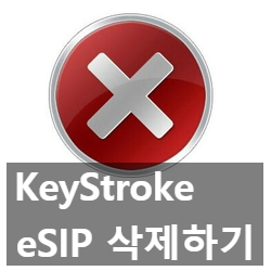 eSIP, Secure KeyStroke 완전히 삭제하는 방법 eSIP, Secure KeyStroke 완전히 삭제하는 방법