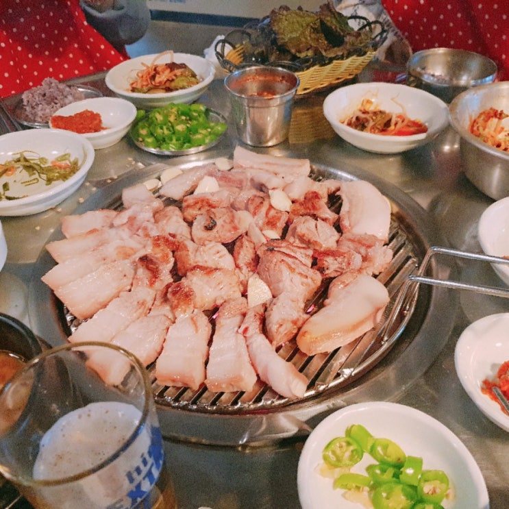  2019  마지막벚꽃 고복저수지 / 자유부인