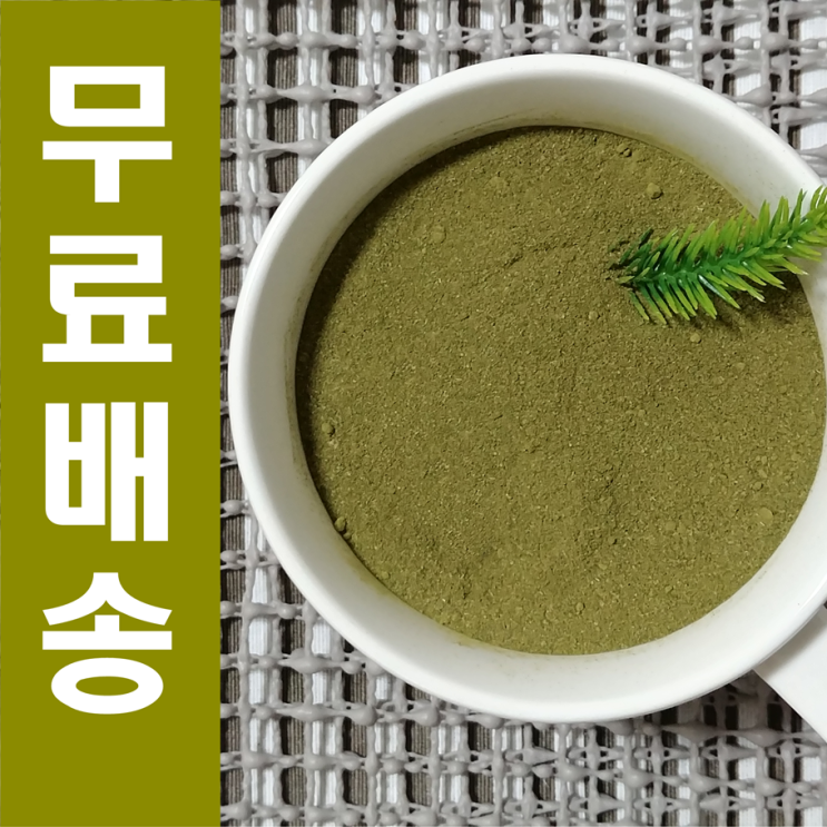  기적의 나무 모링가 효능 및 모링가잎 분말가루 파는곳[모닝가 가격]