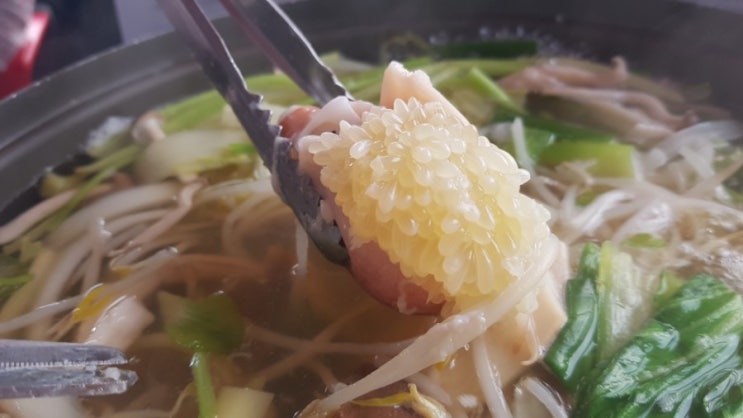 대구 북구 태전동 맛집 : 다해 / 알쭈꾸미 샤브샤브 / 봄에는 주꾸미가 제철 / 칠곡 쭈꾸미 맛집 대구 북구 태전동 맛집 : 다해 / 알쭈꾸미 샤브샤브 / 봄에는 주꾸미가 제철 / 칠곡 쭈꾸미 맛집