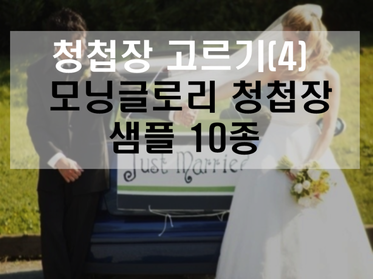  지옥의 청첩장 고르기 (4) - 모닝글로리 청첩장 샘플 10종