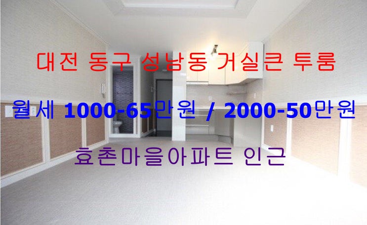 대전 동구 성남동 신축 거실큰 투룸 월세 (효촌마을아파트 인근)