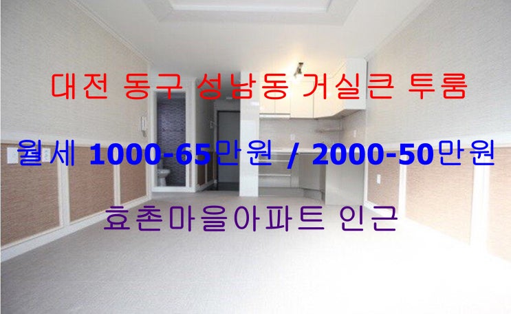  대전 동구 성남동 신축 거실큰 투룸 월세 (효촌마을아파트 인근)