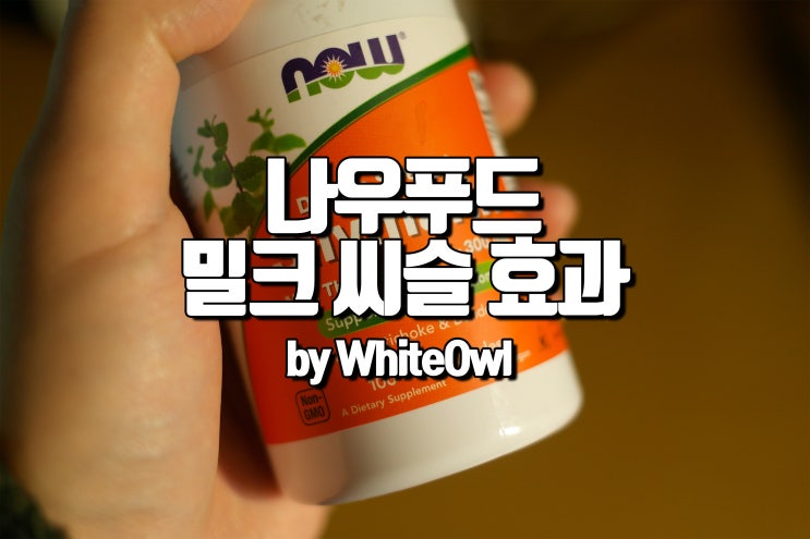  나우푸드 밀크씨슬 실리마린 80% 함량으로 간을 보호하자 효능