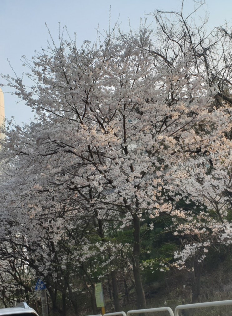  나에게 투자