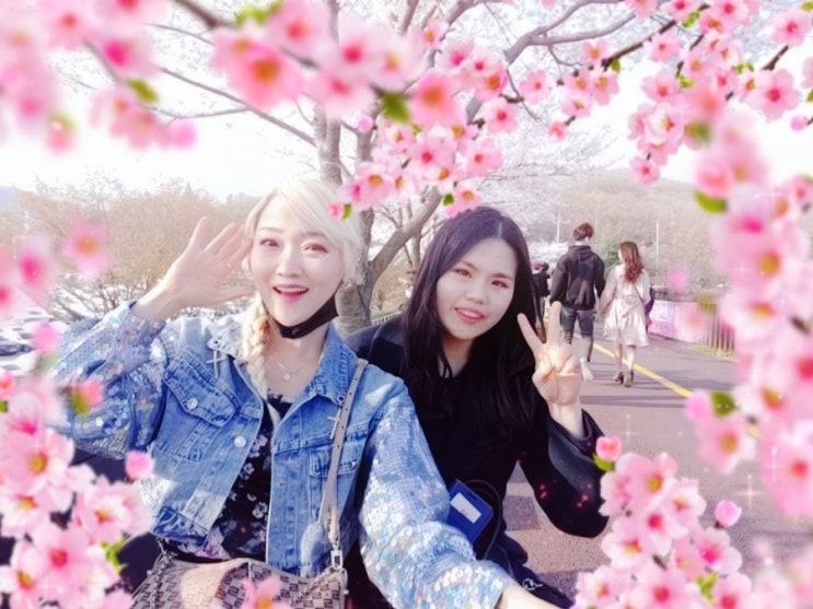  분당 율동공원 벚꽃 나들이 성남 공원 가볼만한곳 산책  분당 데이트코스 일상