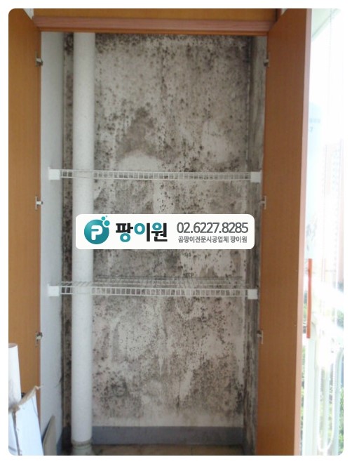  베란다 벽 곰팡이? 지우면 끝?
