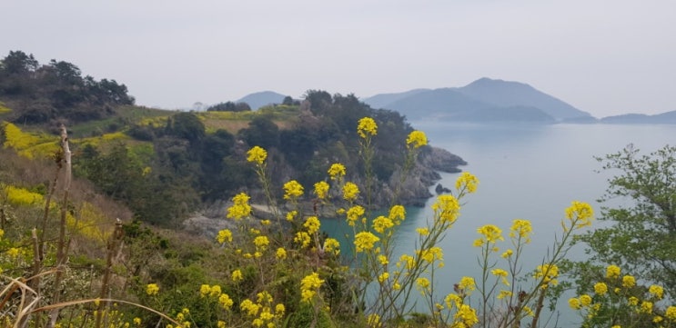  하화도로 ~!