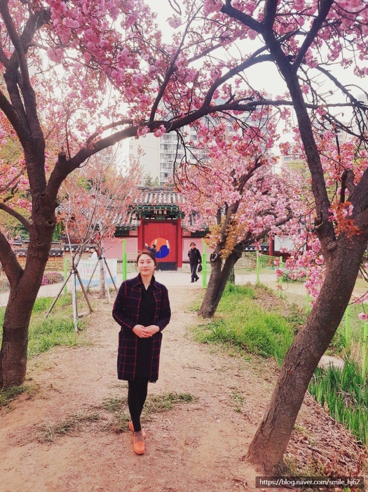  [임신 19주] 먹방 / 보닐라감자칩 / 영화생일 / 꽃시장 / 프리지아 / 겹벚꽃