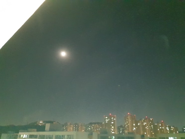  새벽우유: 인간은 실수를 반복하지