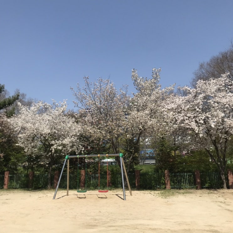  이부 오푸 나이투의 오푸