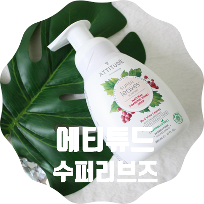  뷰티유투버 디렉터파이 샴푸 , 에티튜드 수퍼리브즈 한달사용후기 (plus.포밍핸드솝후기)