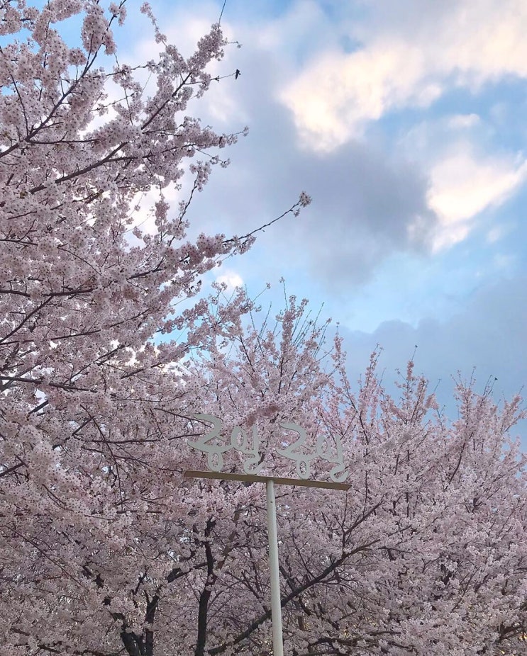  190415_ 2달간 밀린일상,홍콩여행