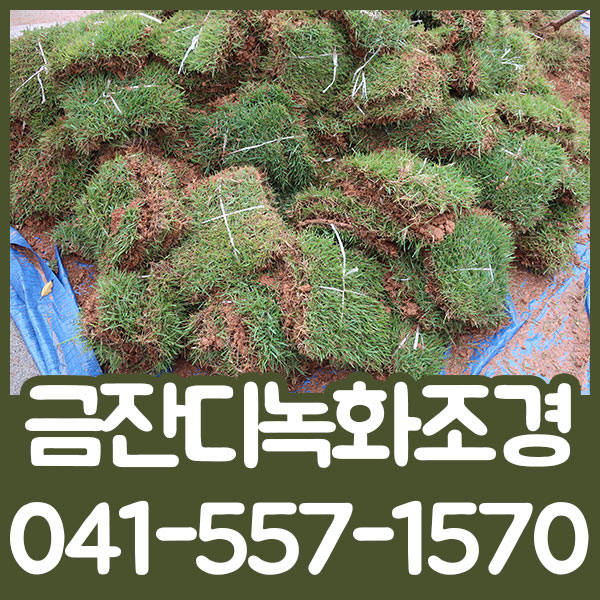  천안시조경공사 주택 조경과 집 뒤에 암벽 공사 했어요! 완벽하고 즐거웠던 공사! (+금잔디녹화조경)(+성공적)