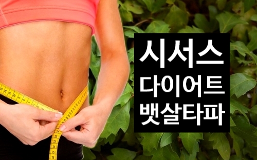 시서스가루 다이어트 방법 뱃살빼기 효과 최고~