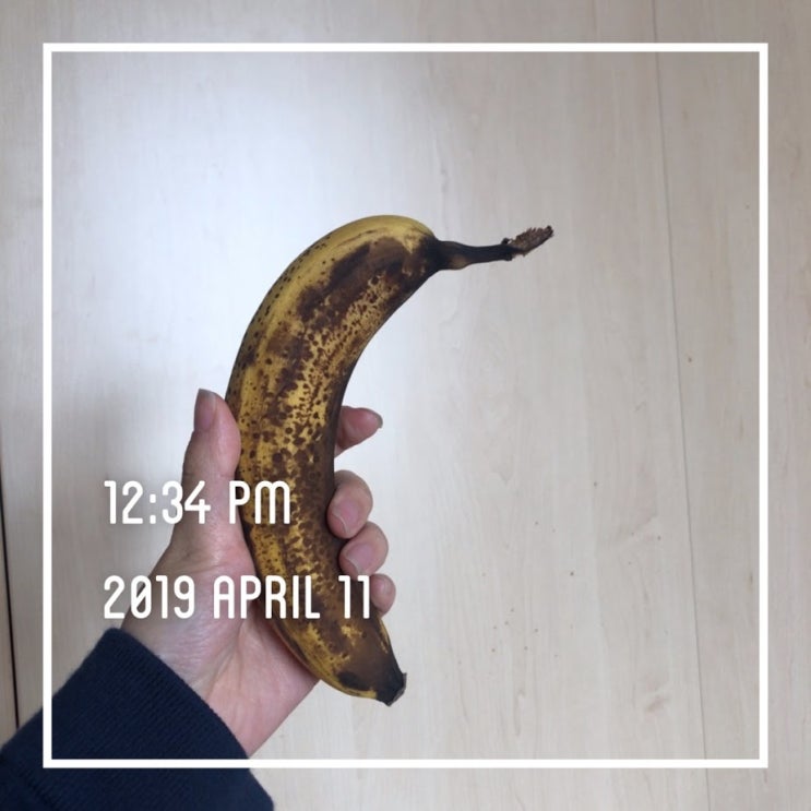  [DAY 213] 독일 교환학생 11.04.19