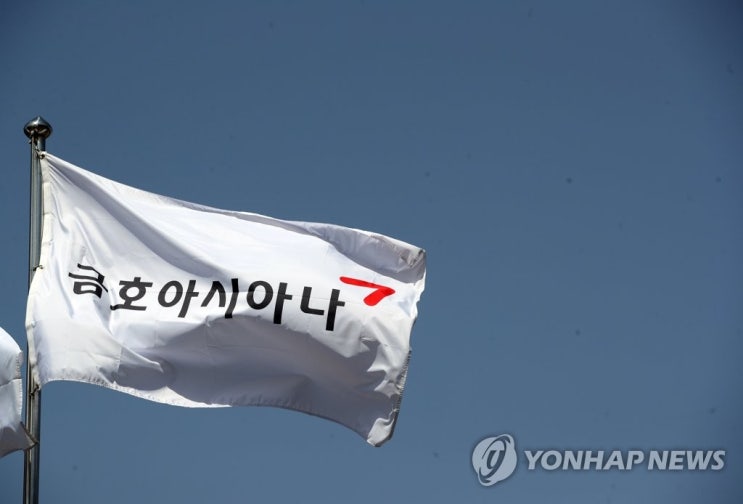  아시아나항공, 30년 금호 둥지 떠나 '새 주인' 찾는다