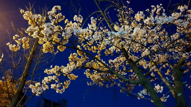  2019.04.03 수요일