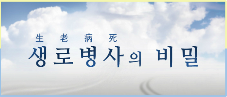  도라지배즙효과 임상논문 확인 결과 [KBS생로병사의비밀]