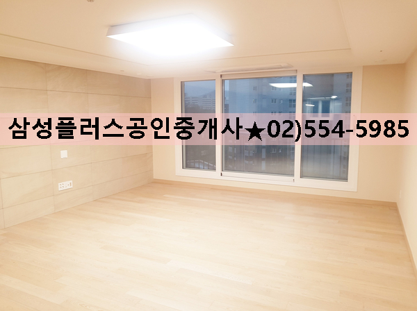  대치초 배정 개포우성,선경,대치팰리스,대치SK VIEW,대치삼성