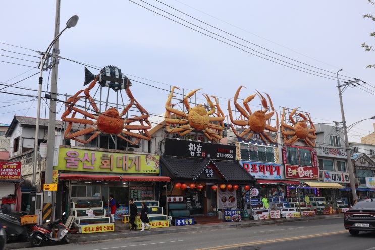  전복홍게짬뽕이 있는 구룡포짬뽕맛집/짬홍