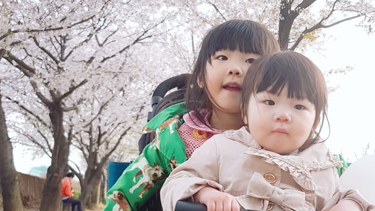  [16개월] 벚꽃 놀이 및 언어발달 기록