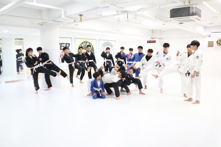 대전 주짓수 [ 하체튼튼 / 허파튼튼 ] 재밌는 갈마주짓수