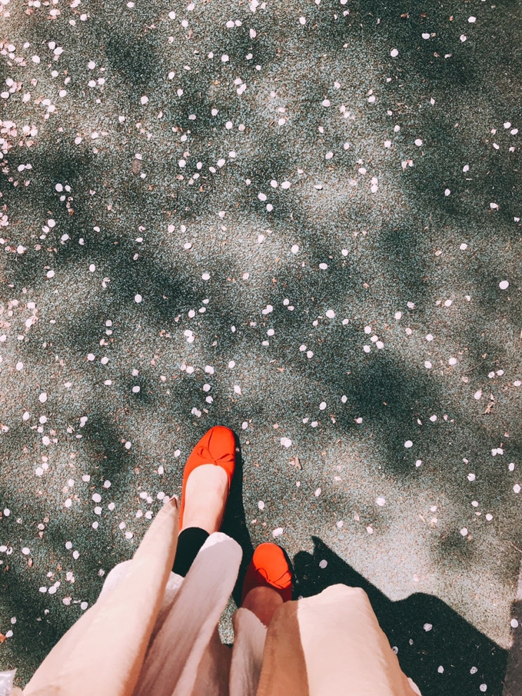  똑띠맘 일상. 마복림할머니떡볶이. 벚꽃엔딩. Calin 안심플랫. 워킹맘 데일리룩. 제주비트즙 추천. 도미노피자. 발뮤다공기청정기. 플마제무선청소기. 삐빼유 버츄 왼손필사.