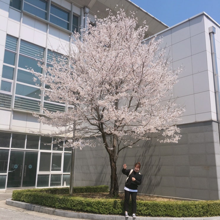  일주일 내내 원주 라이프 시작! 4월 둘째주