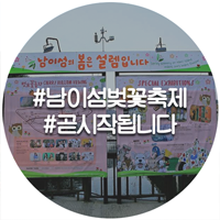  남이섬 벗(友)꽃놀자 벚꽃축제 우리 꽃길만 걸어요~
