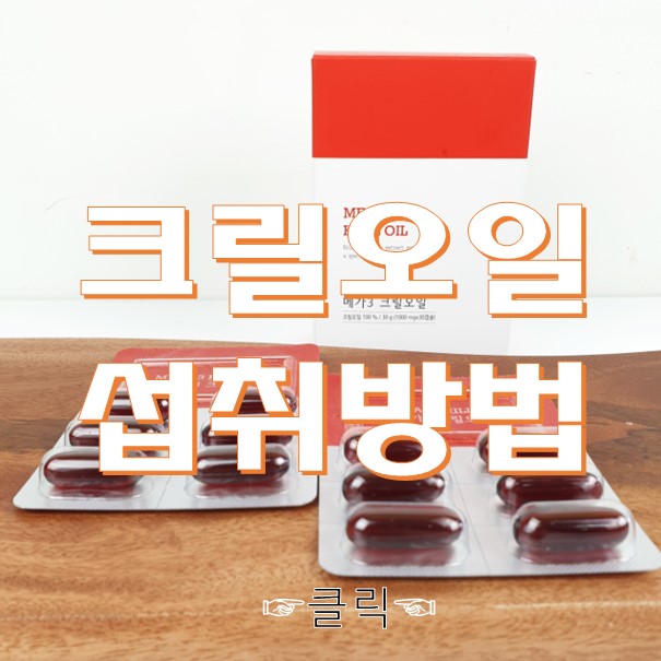  크릴오일 섭취방법 효능보는게 가장 쉬웠어요!