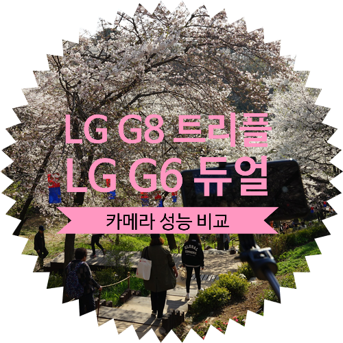 [LG G8 씽큐 Vs G6 ThinQ 트리플 카메라 성능 비교] 서울 숨은 벚꽃 명소 안산자락길 꽃놀이 다녀왔어요