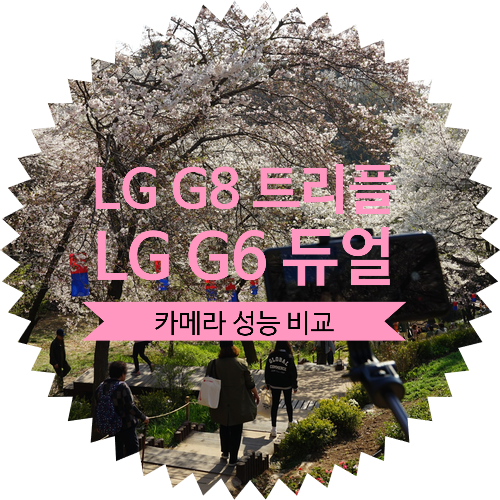 [LG G8 씽큐 Vs G6 ThinQ 트리플 카메라 성능 비교] 서울 숨은 벚꽃 명소 안산자락길 꽃놀이 다녀왔어요