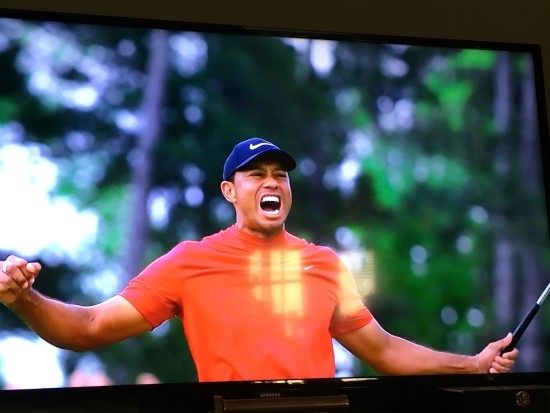  골프:  Tiger Woods (2019 Masters Champion)