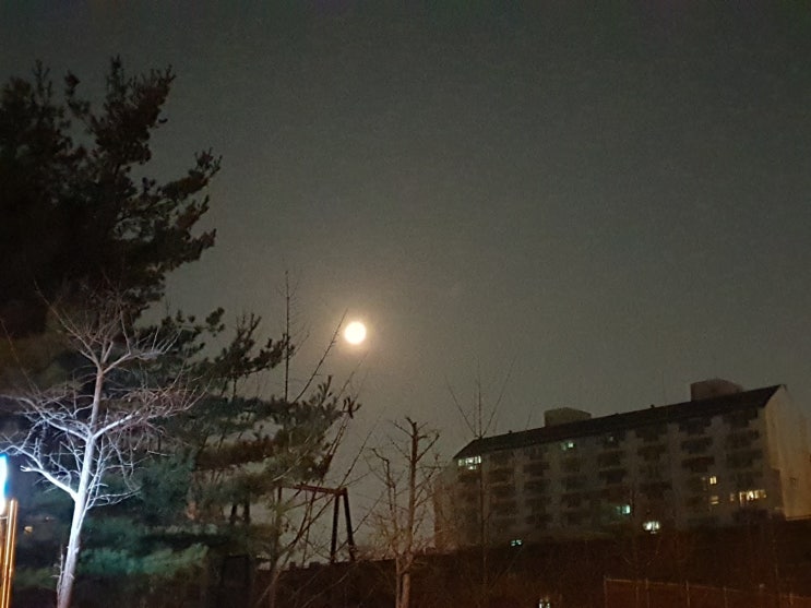  2019.03.20 붉은달