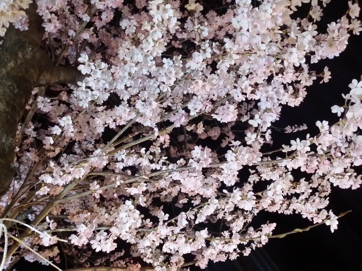  "19년 4월 15 산업, 경제, 부동산 관련 뉴스